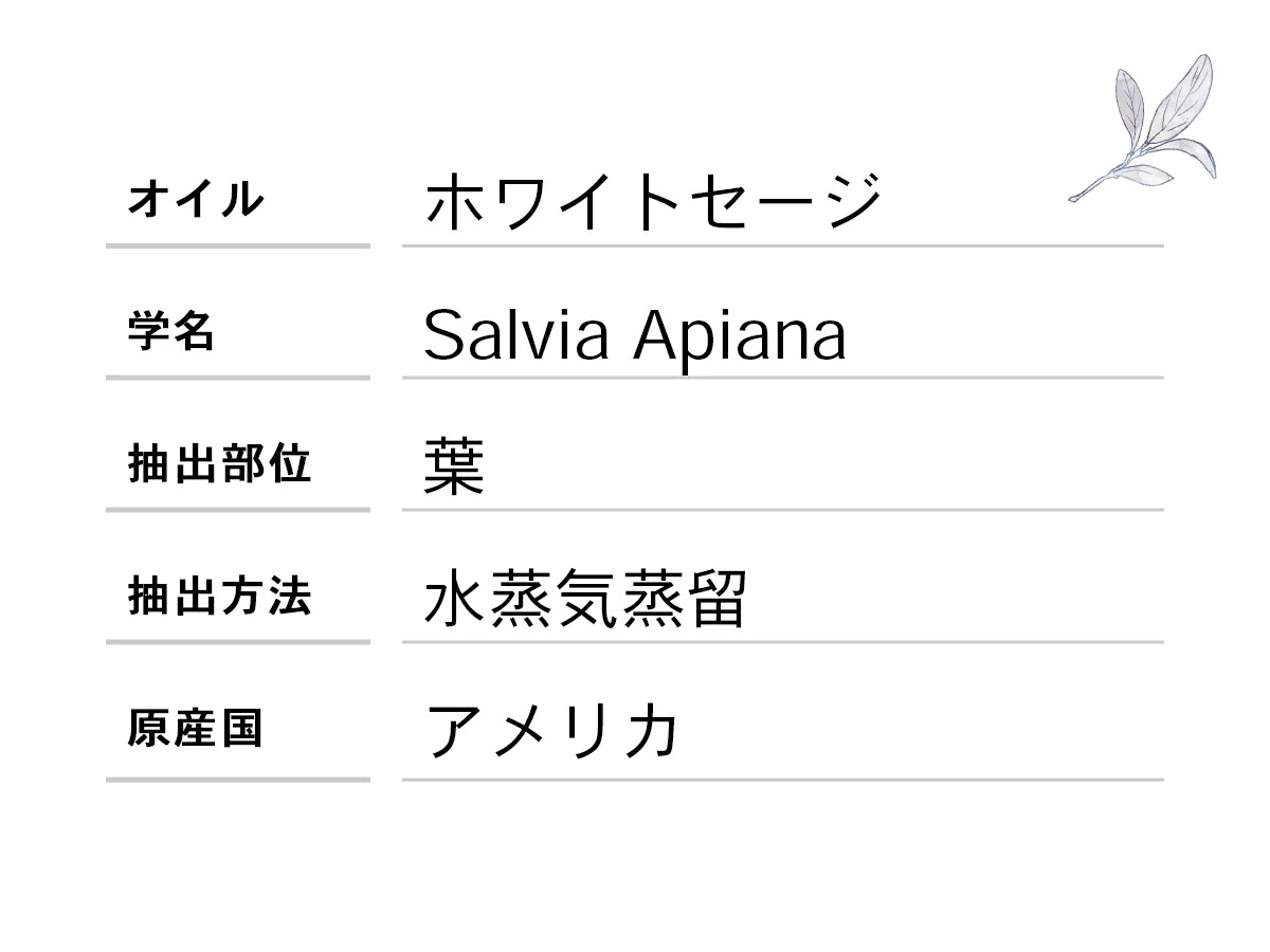 天然100% ホワイトセージ オイル 100ml 精油 エッセンシャルオイル アロマオイル 天然100% ホワイトセージ オイル 100ml 精油 エッセンシャルオイル アロマオイル