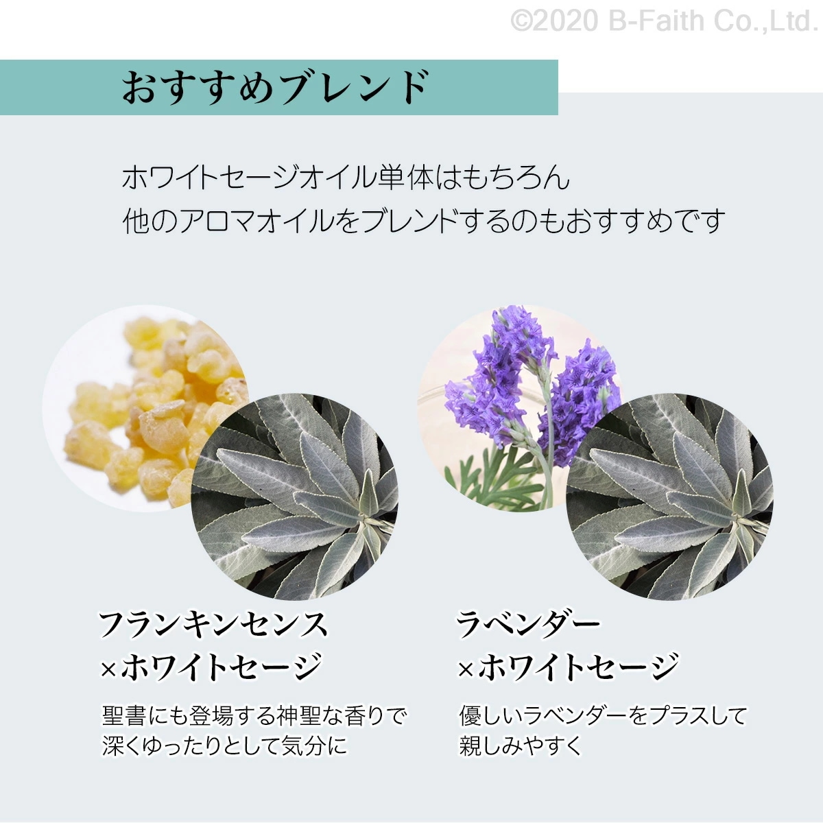 天然100% ホワイトセージ オイル 100ml 精油 エッセンシャルオイル アロマオイル 天然100% ホワイトセージ オイル 100ml 精油 エッセンシャルオイル アロマオイル