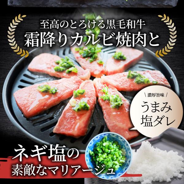 A4,A5等級 特選 黒毛和牛 カルビ焼肉 750g ねぎまみれ 旨塩ダレ( A4 A5等級 )牛肉 肉 お中元 ギフト 食品 お祝い 霜降り 贅沢 黒毛 A4,A5等級 特選 黒毛和牛 カルビ焼肉 750g ねぎまみれ 旨塩ダレ( A4 A5等級 )牛肉 肉 お中元 ギフト 食品 お祝い 霜降り 贅沢 黒毛