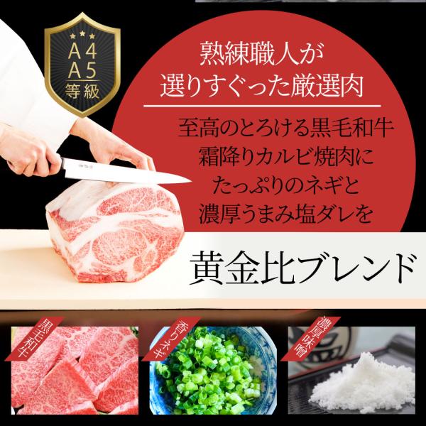 A4,A5等級 特選 黒毛和牛 カルビ焼肉 750g ねぎまみれ 旨塩ダレ( A4 A5等級 )牛肉 肉 お中元 ギフト 食品 お祝い 霜降り 贅沢 黒毛 A4,A5等級 特選 黒毛和牛 カルビ焼肉 750g ねぎまみれ 旨塩ダレ( A4 A5等級 )牛肉 肉 お中元 ギフト 食品 お祝い 霜降り 贅沢 黒毛
