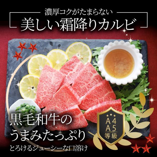 A4,A5等級 特選 黒毛和牛 カルビ焼肉 750g ねぎまみれ 旨塩ダレ( A4 A5等級 )牛肉 肉 お中元 ギフト 食品 お祝い 霜降り 贅沢 黒毛 A4,A5等級 特選 黒毛和牛 カルビ焼肉 750g ねぎまみれ 旨塩ダレ( A4 A5等級 )牛肉 肉 お中元 ギフト 食品 お祝い 霜降り 贅沢 黒毛