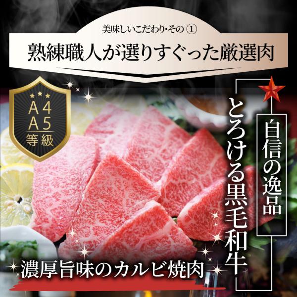 A4,A5等級 特選 黒毛和牛 カルビ焼肉 750g ねぎまみれ 旨塩ダレ( A4 A5等級 )牛肉 肉 お中元 ギフト 食品 お祝い 霜降り 贅沢 黒毛 A4,A5等級 特選 黒毛和牛 カルビ焼肉 750g ねぎまみれ 旨塩ダレ( A4 A5等級 )牛肉 肉 お中元 ギフト 食品 お祝い 霜降り 贅沢 黒毛