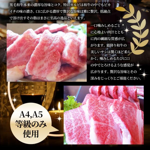 A4,A5等級 特選 黒毛和牛 カルビ焼肉 750g ねぎまみれ 旨塩ダレ( A4 A5等級 )牛肉 肉 お中元 ギフト 食品 お祝い 霜降り 贅沢 黒毛 A4,A5等級 特選 黒毛和牛 カルビ焼肉 750g ねぎまみれ 旨塩ダレ( A4 A5等級 )牛肉 肉 お中元 ギフト 食品 お祝い 霜降り 贅沢 黒毛