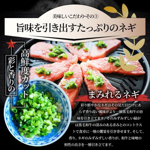 A4,A5等級 特選 黒毛和牛 カルビ焼肉 750g ねぎまみれ 旨塩ダレ( A4 A5等級 )牛肉 肉 お中元 ギフト 食品 お祝い 霜降り 贅沢 黒毛 A4,A5等級 特選 黒毛和牛 カルビ焼肉 750g ねぎまみれ 旨塩ダレ( A4 A5等級 )牛肉 肉 お中元 ギフト 食品 お祝い 霜降り 贅沢 黒毛