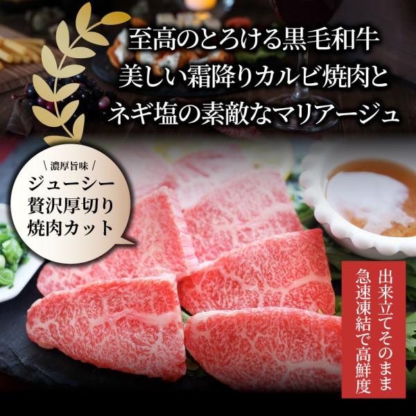 A4,A5等級 特選 黒毛和牛 カルビ焼肉 750g ねぎまみれ 旨塩ダレ( A4 A5等級 )牛肉 肉 お中元 ギフト 食品 お祝い 霜降り 贅沢 黒毛 A4,A5等級 特選 黒毛和牛 カルビ焼肉 750g ねぎまみれ 旨塩ダレ( A4 A5等級 )牛肉 肉 お中元 ギフト 食品 お祝い 霜降り 贅沢 黒毛