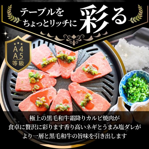A4,A5等級 特選 黒毛和牛 カルビ焼肉 750g ねぎまみれ 旨塩ダレ( A4 A5等級 )牛肉 肉 お中元 ギフト 食品 お祝い 霜降り 贅沢 黒毛 A4,A5等級 特選 黒毛和牛 カルビ焼肉 750g ねぎまみれ 旨塩ダレ( A4 A5等級 )牛肉 肉 お中元 ギフト 食品 お祝い 霜降り 贅沢 黒毛