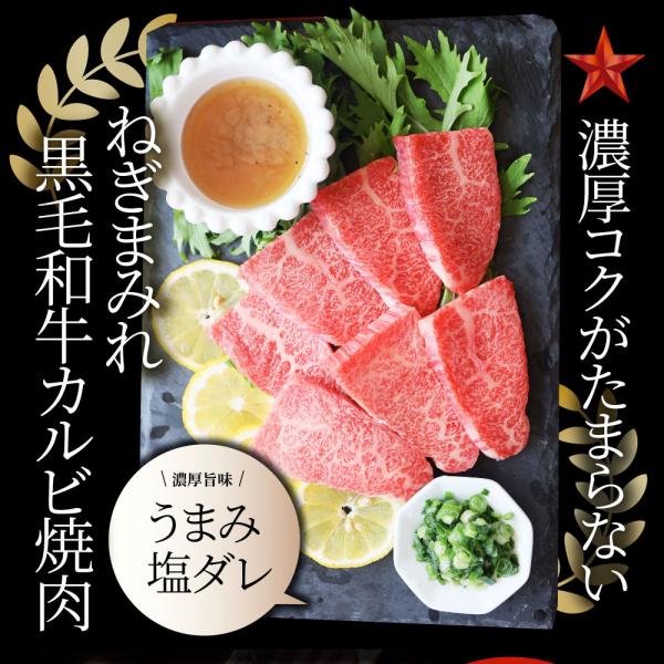 A4,A5等級 特選 黒毛和牛 カルビ焼肉 750g ねぎまみれ 旨塩ダレ( A4 A5等級 )牛肉 肉 お中元 ギフト 食品 お祝い 霜降り 贅沢 黒毛 A4,A5等級 特選 黒毛和牛 カルビ焼肉 750g ねぎまみれ 旨塩ダレ( A4 A5等級 )牛肉 肉 お中元 ギフト 食品 お祝い 霜降り 贅沢 黒毛