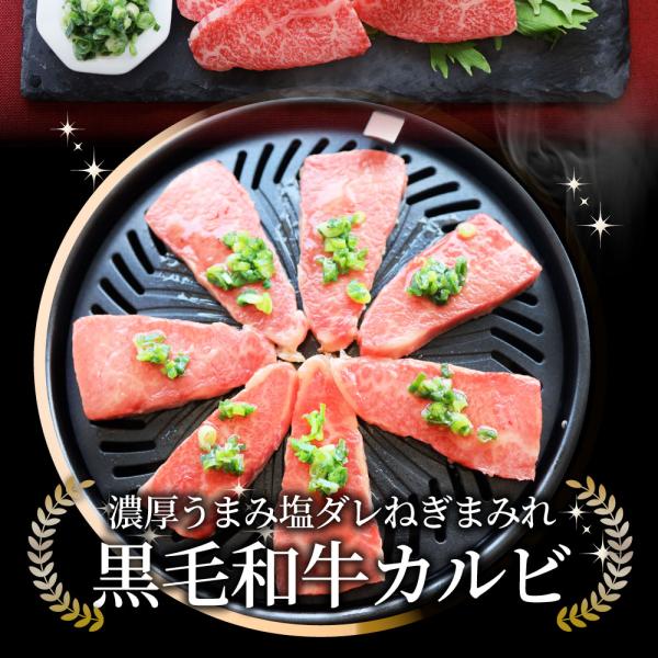 A4,A5等級 特選 黒毛和牛 カルビ焼肉 750g ねぎまみれ 旨塩ダレ( A4 A5等級 )牛肉 肉 お中元 ギフト 食品 お祝い 霜降り 贅沢 黒毛 A4,A5等級 特選 黒毛和牛 カルビ焼肉 750g ねぎまみれ 旨塩ダレ( A4 A5等級 )牛肉 肉 お中元 ギフト 食品 お祝い 霜降り 贅沢 黒毛