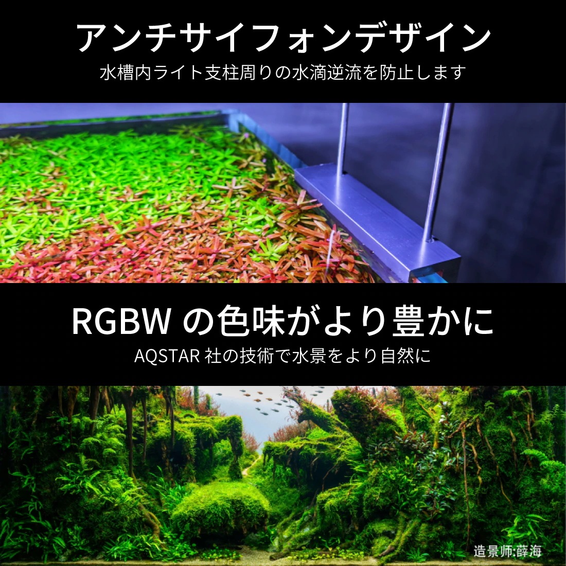 LEDSTAR モデルS2 AQ-S90 水槽 LEDライト PSE認証 技適認証済 メーカー正規保証 正規代理店 アクアリウム ライト スマホ操作 水槽ライト パルダリウム 熱帯魚 メダカ leds LEDSTAR モデルS2 AQ-S90 水槽 LEDライト PSE認証 技適認証済 メーカー正規保証 正規代理店 アクアリウム ライト スマホ操作 水槽ライト パルダリウム 熱帯魚 メダカ leds
