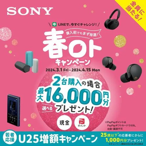 【推奨品】ソニー WF-LS900N WC ワイヤレスノイズキャンセリングステレオヘッドセット LinkBuds S ホワイト