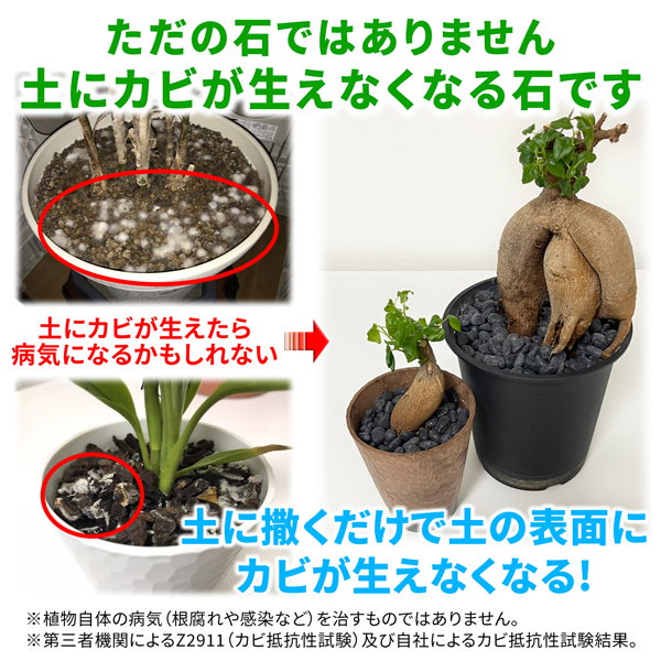 Qoo10] 純閃堂 キープストーン 黒玉砂利 400g 観葉