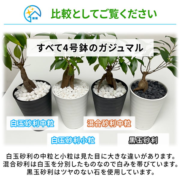 Qoo10] 純閃堂 キープストーン 黒玉砂利 400g 観葉