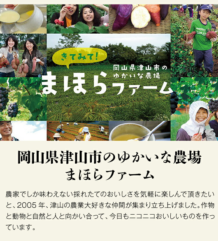 ピザ 冷凍フルーツピザ 3種セット いちご ブルーベリー 白桃 岡山県産 津山 まほらファーム ギフト 産直 冷凍便 同梱不可 指定日不可