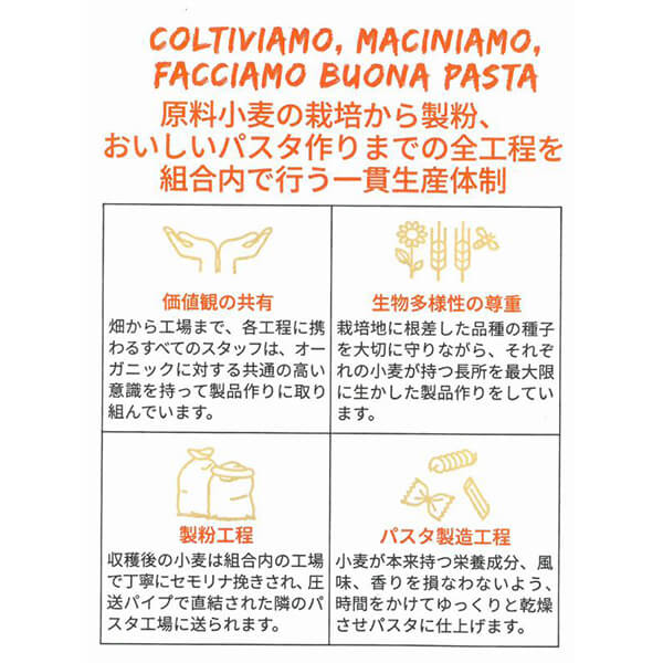 ジロロモーニ 全粒粉デュラム小麦 有機スパゲッティ 500g 12個セット 創健社