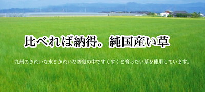 新作大人気 純国産/日本製 糸引織 い草上敷 『日本 : 家具・インテリア 2022夏季