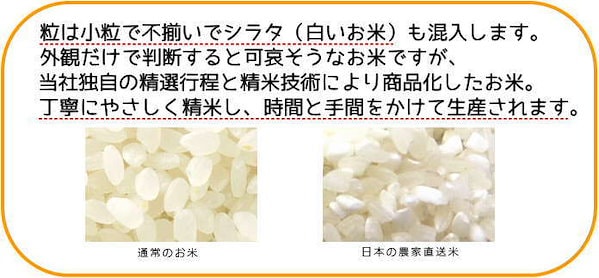Qoo10] 国内産 日本の農家直送米20kg(10k