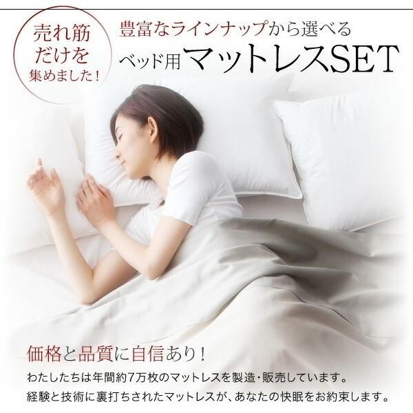 組立設置付 ダブルベッド スタンダード ポケットコイルマットレスセット フロア ローベッド コンセント 宮棚 ヘッドボード フレーム マット ベッドセット 組立設置付 ダブルベッド スタンダード ポケットコイルマットレスセット フロア ローベッド コンセント 宮棚 ヘッドボード フレーム マット ベッドセット