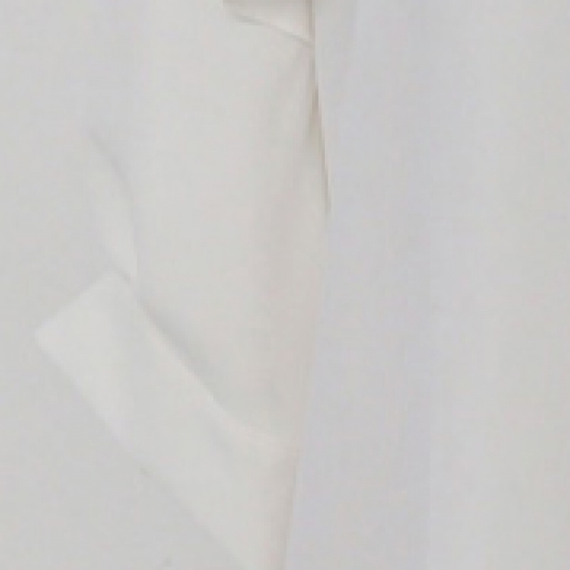 クリック＆ファニーサンディーズカラーブラウス [無料サイズL]