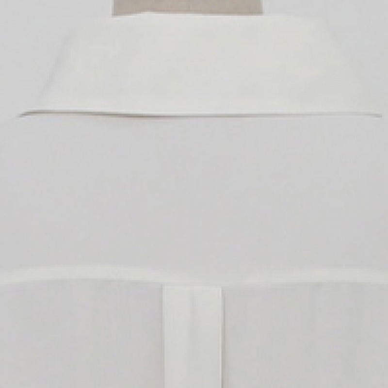 クリック＆ファニーサンディーズカラーブラウス [無料サイズL]