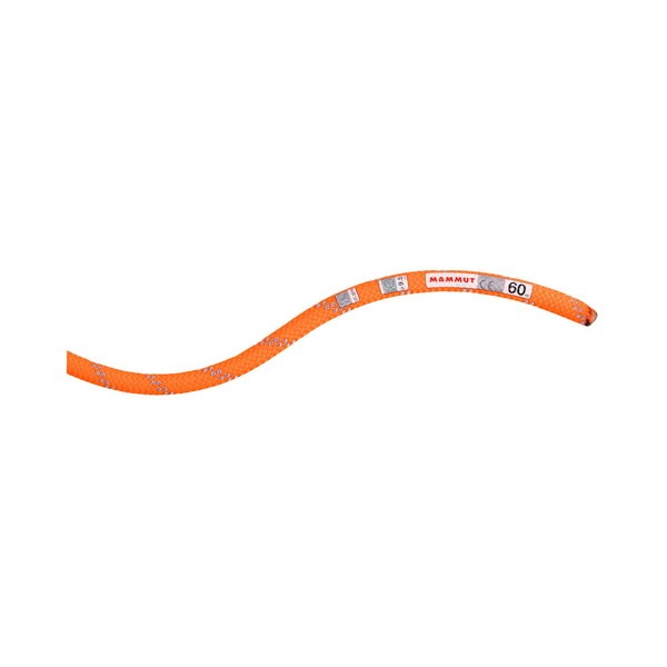 MAMMUT マムート 9.5 Alpine Dry Rope 201004220C-11256 ロープ