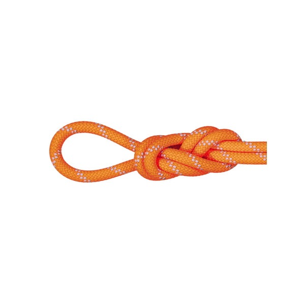 MAMMUT マムート 9.5 Alpine Dry Rope 201004220C-11256 ロープ