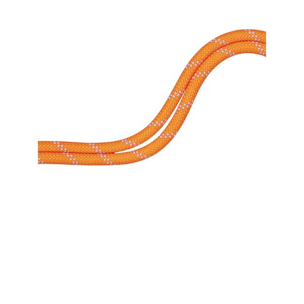 MAMMUT マムート 9.5 Alpine Dry Rope 201004220C-11256 ロープ
