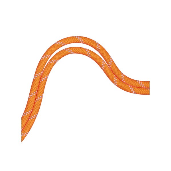 MAMMUT マムート 9.5 Alpine Dry Rope 201004220C-11256 ロープ