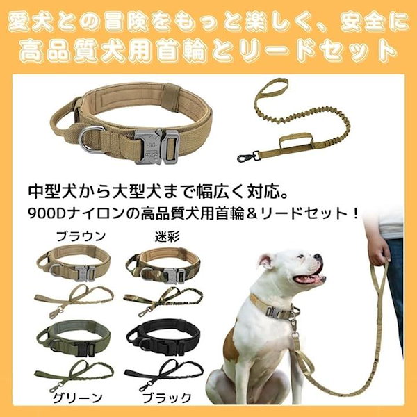 voyaju FOR lala 犬 首輪 リード ギフトBOX付き セレブ犬 voyaju FOR lala 犬 首輪 リード ギフトBOX付き セレブ犬