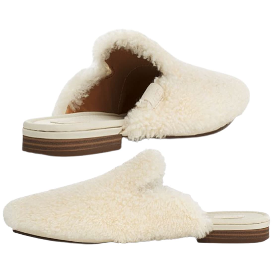 UGG レディース ムートン シューズ ジャナヤ コージー ミュール Janaya Cozy Mule 1130815