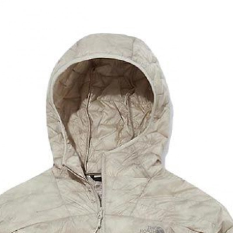 ノースフェイス女性用アクティブデュアジャケット MNJ3NM32B-LBE