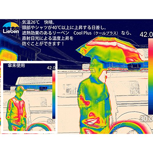 リーベン レディース コ : 日用品雑貨 日傘 晴雨兼用 特価HOT