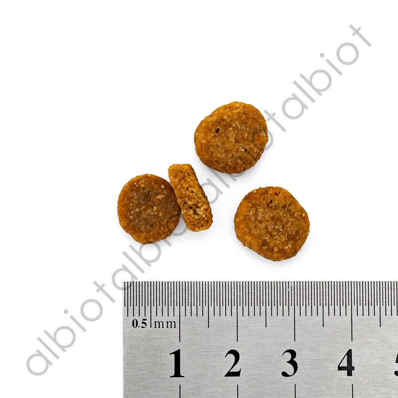 チキン 中粒 3kg ドッグフード