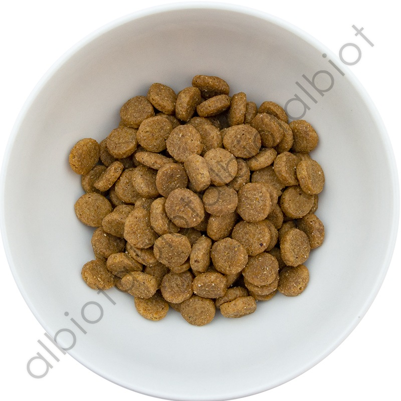 チキン 中粒 3kg ドッグフード