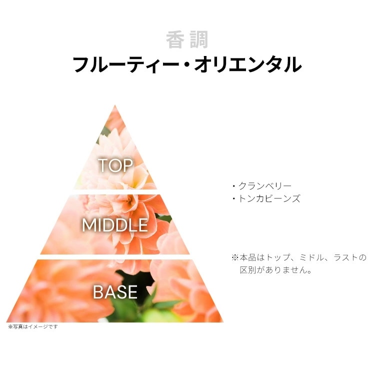 ザ ビッグポニー コレクション フォー ウーマン 2 EDT SP 100ml