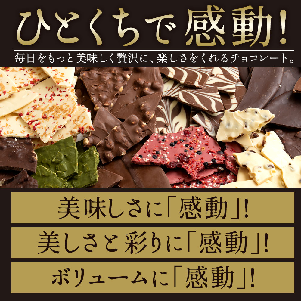 チョコレート 割れチョコ 超お得な11種類の割れチョコ福袋 クベ之助とチュル太山盛りChocolateBrothers 1kg 訳あり チョコ 福袋 詰め合わせ[送料無