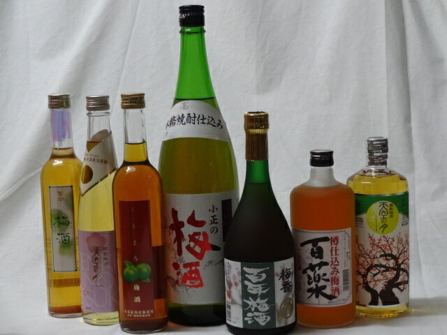 こんな梅酒福袋が欲しかったぁ　7本セット(百助梅酒 天空の月 樽熟梅酒 くちまろ梅酒　小正の梅酒 梅