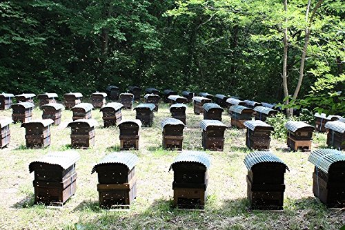 小松養蜂場 秋田のはちみつ アカシア 500g 小松養蜂場 秋田のはちみつ アカシア 500g