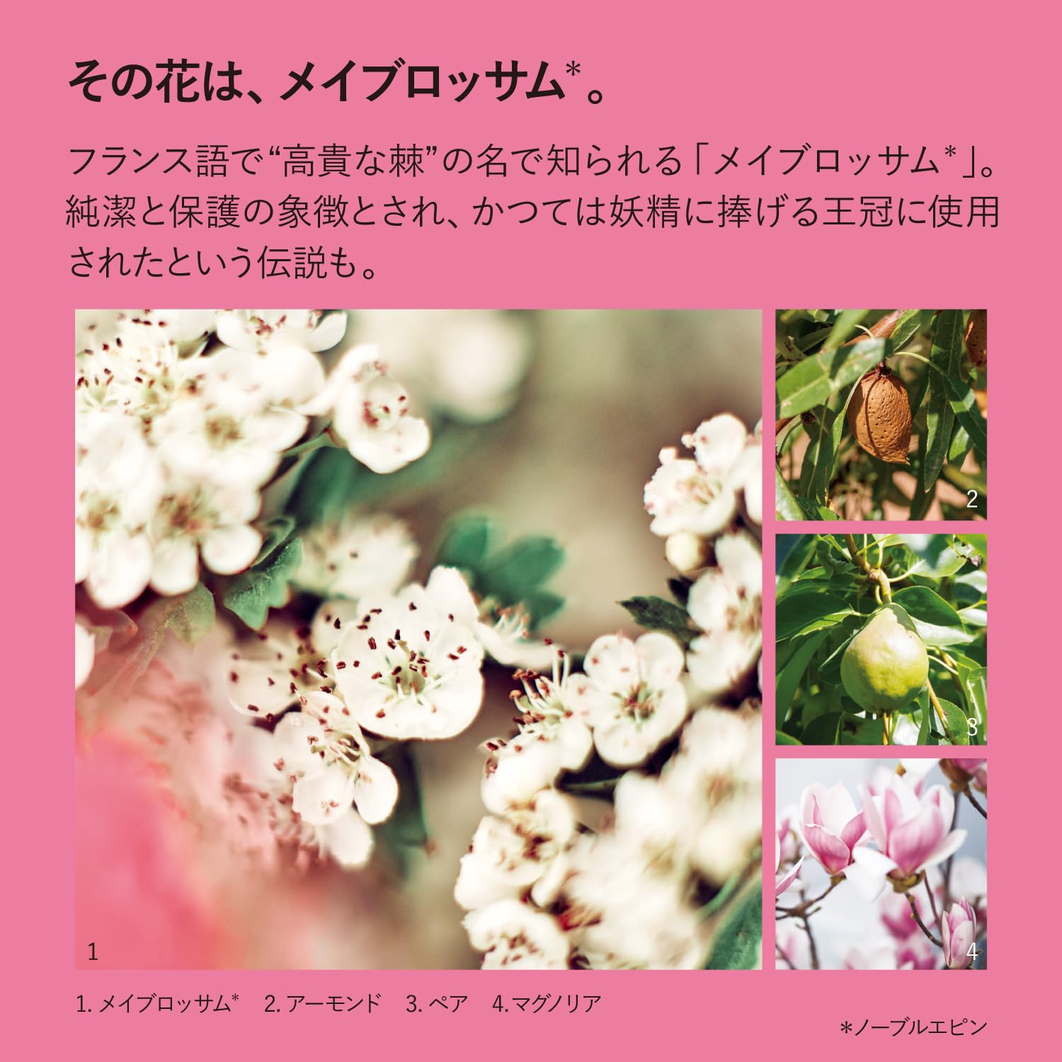 ロクシタン(LOCCITANE) ノーブルエピン シャワークリーム 250mL ボディソープ 女性 男性 メンズ 人気 誕生日 ギフト プレゼント お返し