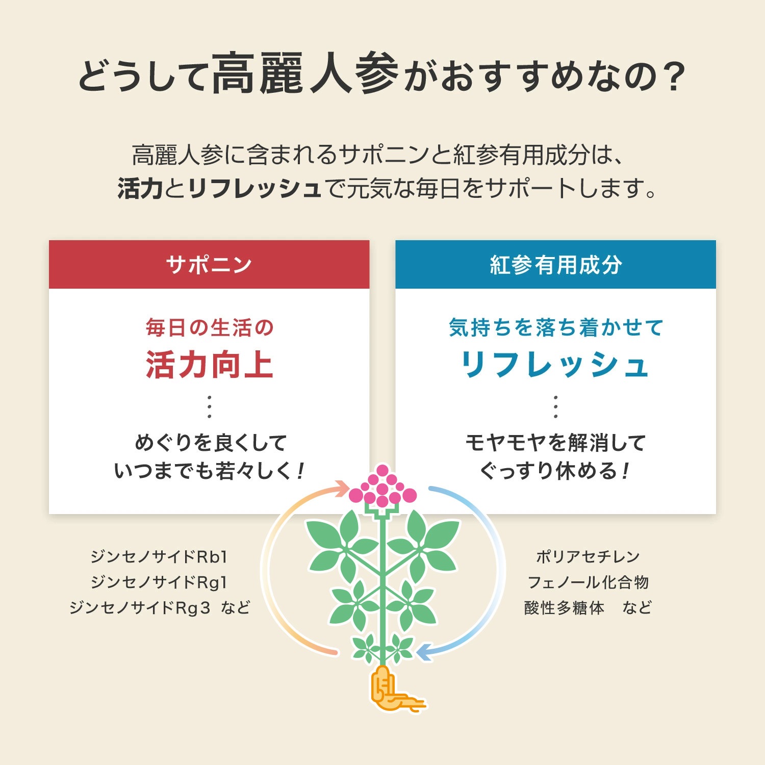 [正官庄 日本公式]【送料無料】紅蔘エキス(天)　200g 紅参 6年根 / 正官庄（ジョンガンジャン）紅参（ホンサム）6年根 高麗人参