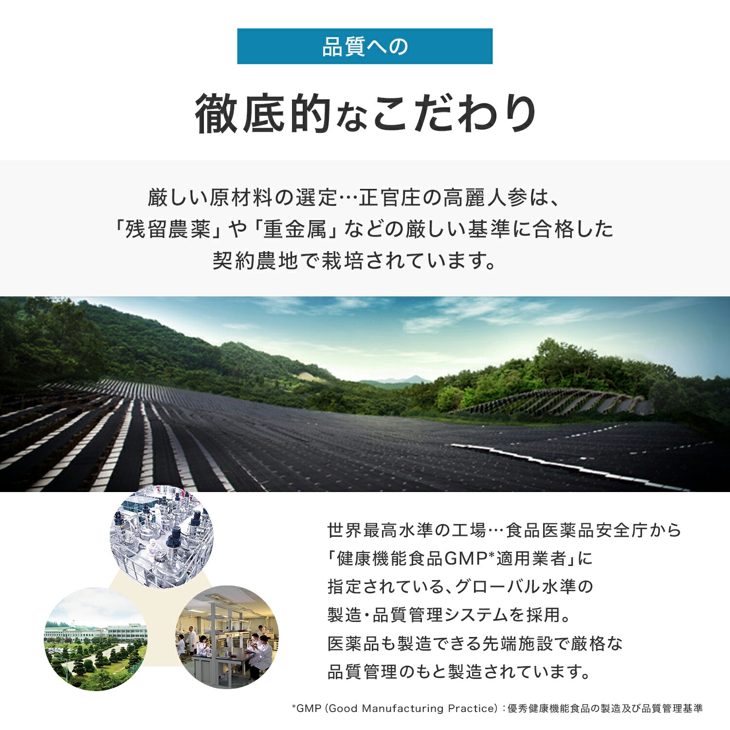 [正官庄 日本公式]【送料無料】紅蔘エキス(天)　200g 紅参 6年根 / 正官庄（ジョンガンジャン）紅参（ホンサム）6年根 高麗人参