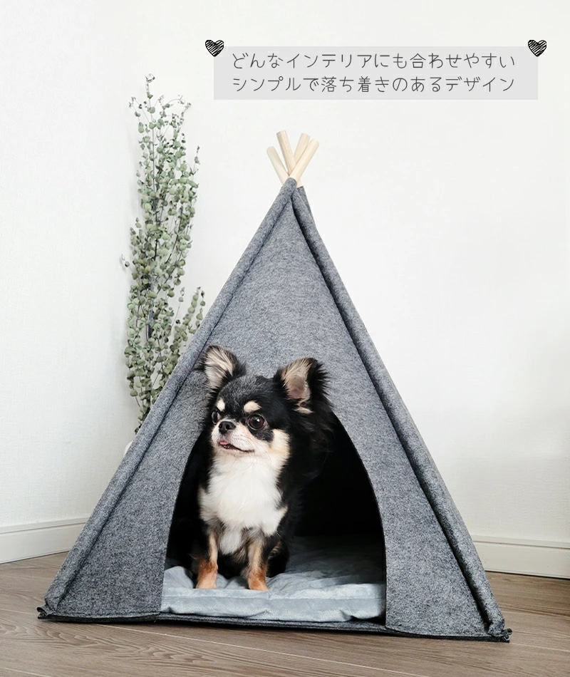 M-PETS ECOティピ M-PETS ECOティピ