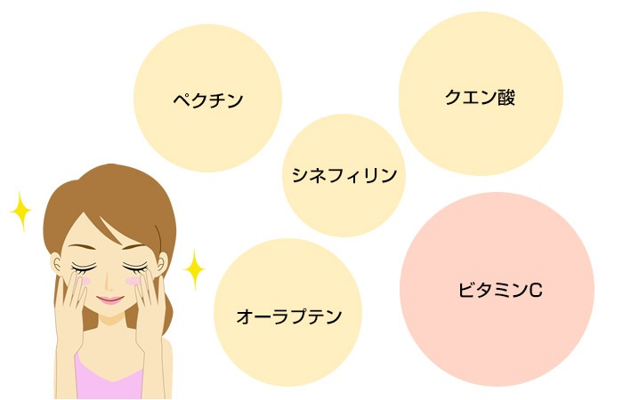 正規店格安 国産甘夏柑スティック : 健康食品・サプリ 100g10袋セッ... HOT新品