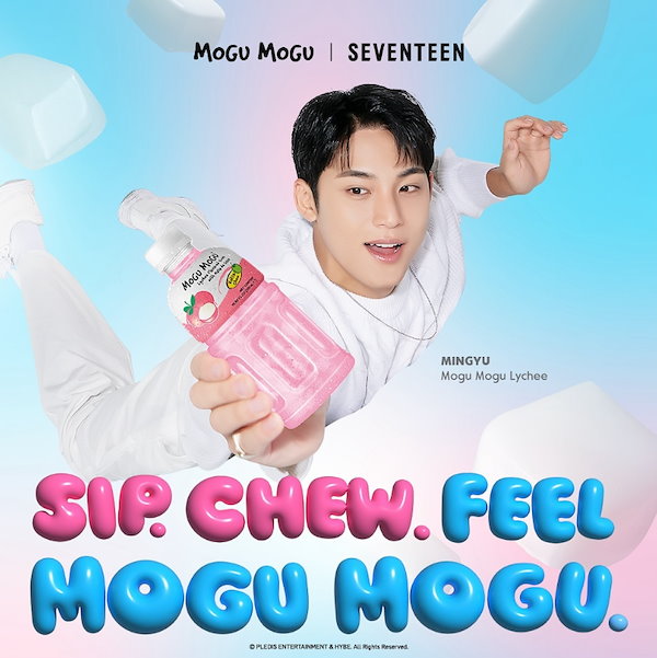 【‼︎新品お買得︎‼︎】mogumogu もぐもぐ 26本 seventeen Kitto (編集局) on X: 