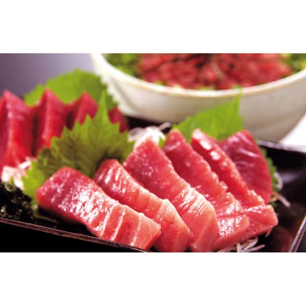 静岡 天然南まぐろ赤身と中とろ A SISK 静岡 天然南まぐろ赤身と中とろ A SISK