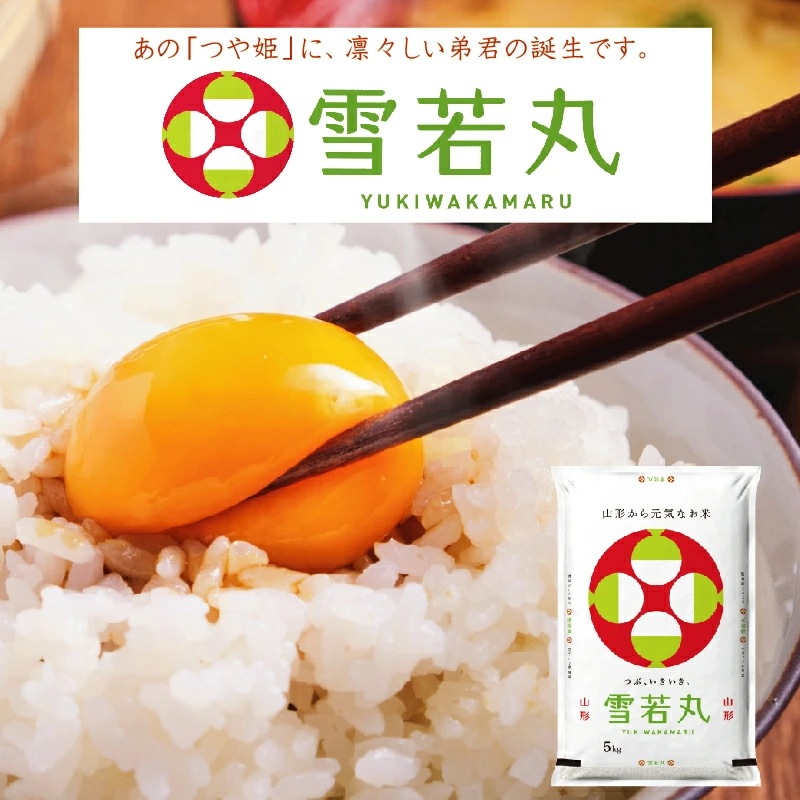 令和6年産 無洗米 山形県産 雪若丸 20kg (5kgx4袋)