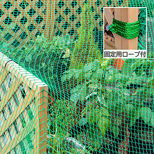 アストロ グリーンネット 25mm目 5m*5m ケース付き 養生ネット 防鳥ネット アニマルネット