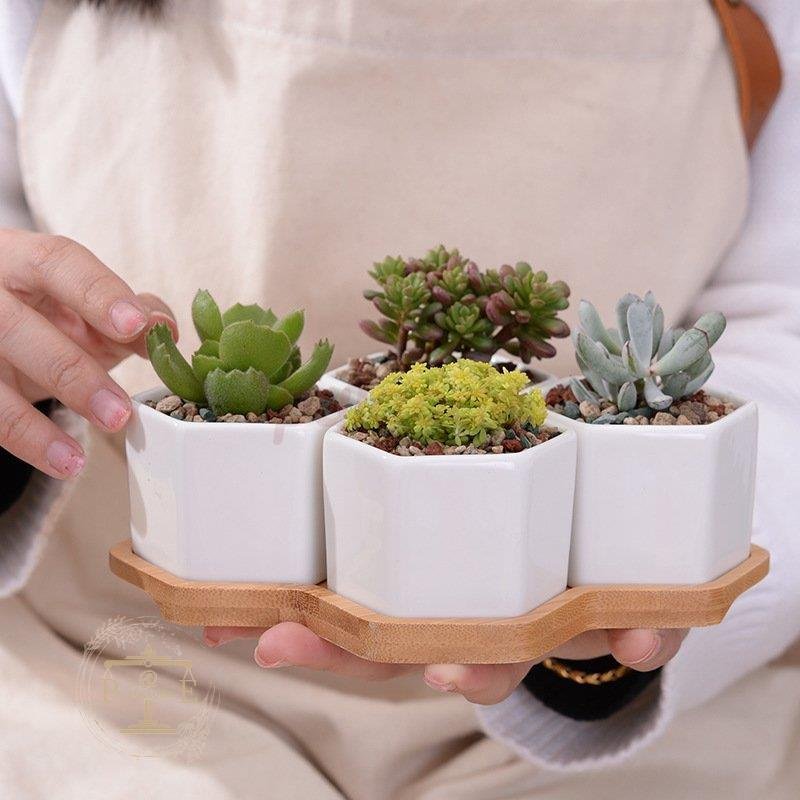 植木鉢 売れ筋新商品 花瓶 プランター おしゃれ 鉢植え 花 栽培 かわいい 通販 プレゼント 母の日 ガ ギフト