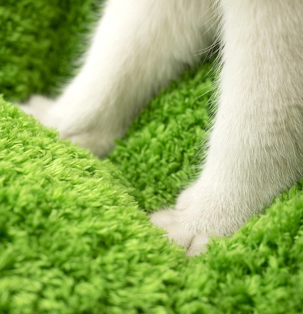 猫用 ペットベッド 小型犬 爪とぎ オールシーズン もこもこ ペットソファ 麻 おしゃれ 可愛い シンプル ねこ ネコ 子猫 つめとぎ 爪研ぎ 爪みがき ペットソファー クッション ペットマット ペッ
