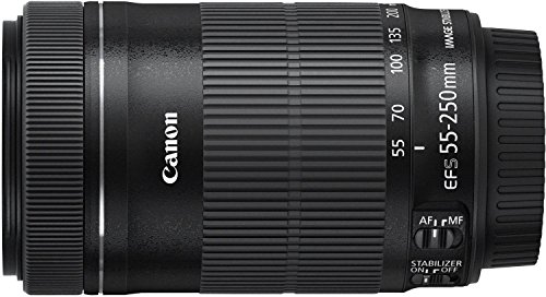 キヤノン 望遠ズームレンズ EF-S5 : カメラ : Canon 再入荷お得