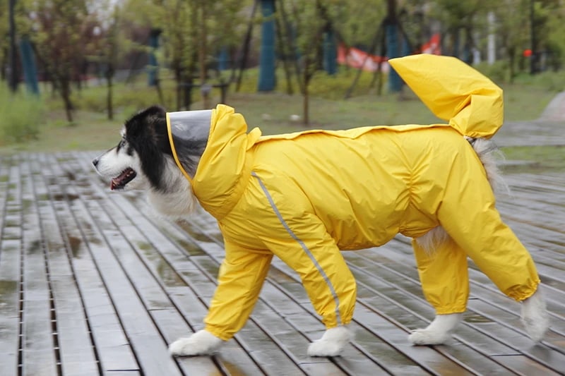 大型犬用レインジャケット,防水ポリエステル安全コート,反射ストライプ,金の再試行剤,ラブラドールハスキー8xl-12xl YELLOW 11XL Female 大型犬用レインジャケット,防水ポリエステル安全コート,反射ストライプ,金の再試行剤,ラブラドールハスキー8xl-12xl YELLOW 11XL Female